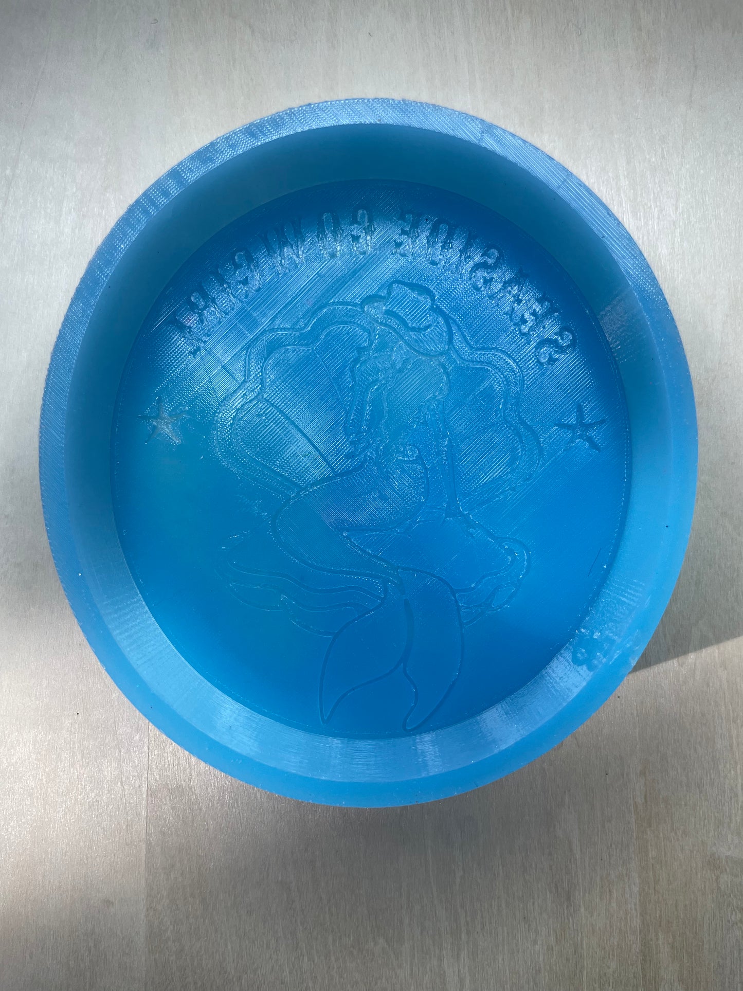Seaside Cowgirl Silicone Mold for Freshies, Soap, Ice, Resin, etc.
