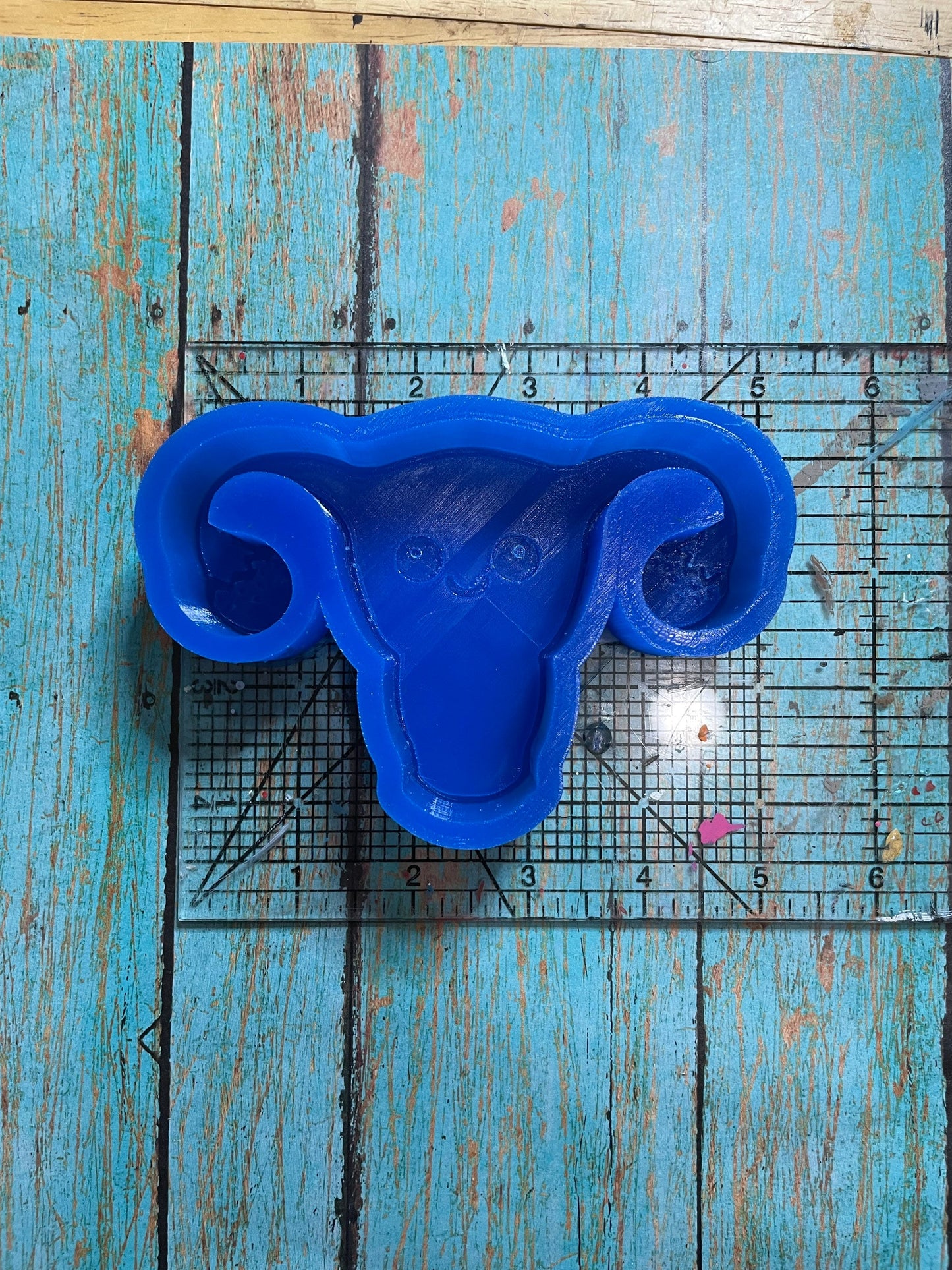 Uterus Freshie Mold for Soap, Ice, Resin, etc.