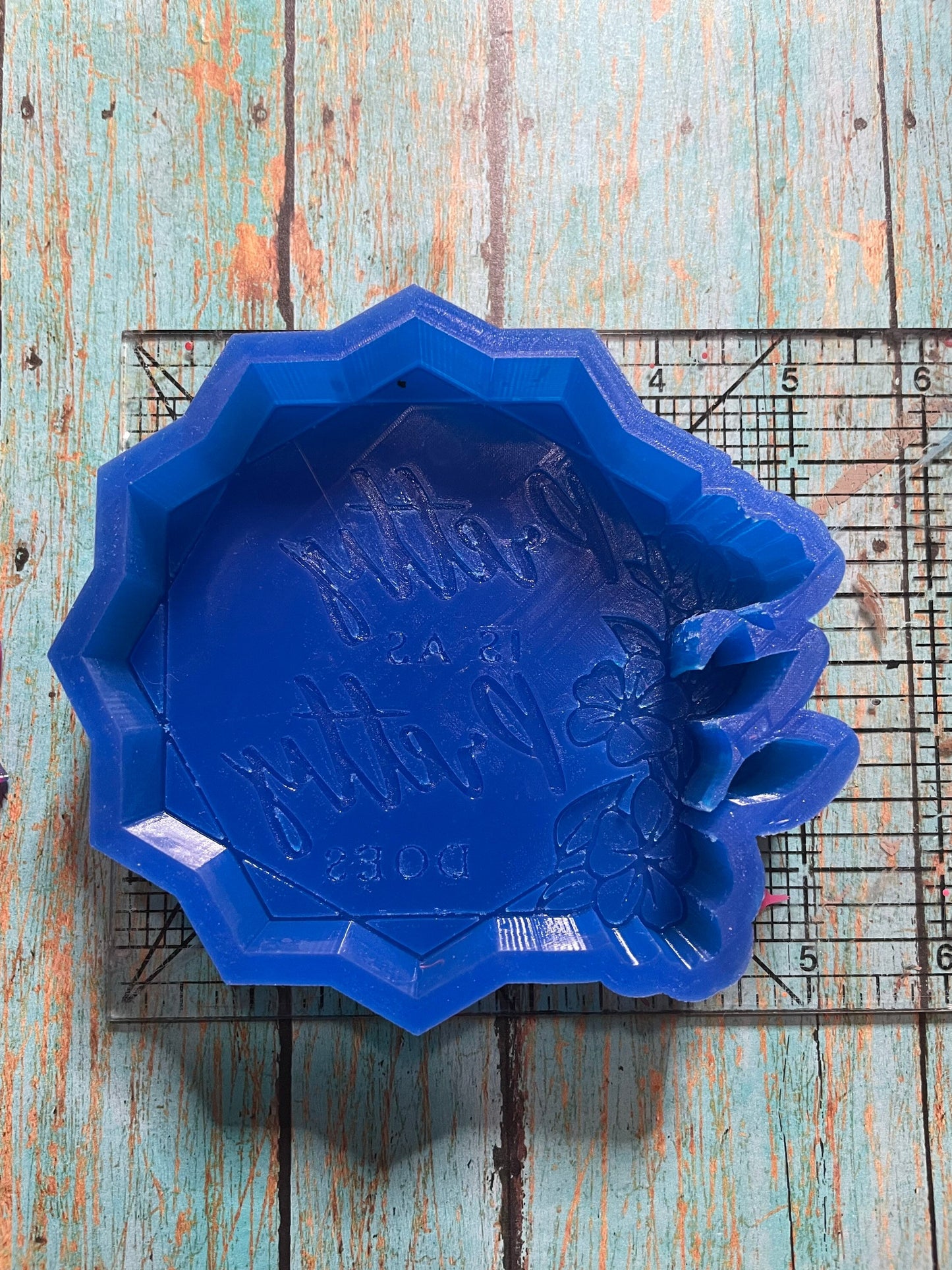 Pretty is as Pretty Does Mold for Freshies, Soap, Ice, Resin, etc.