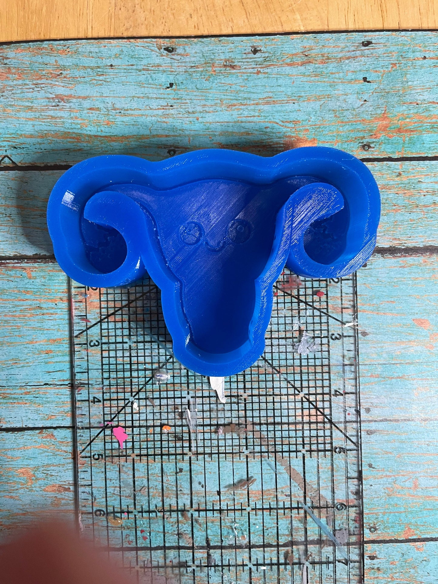 Uterus Freshie Mold for Soap, Ice, Resin, etc.