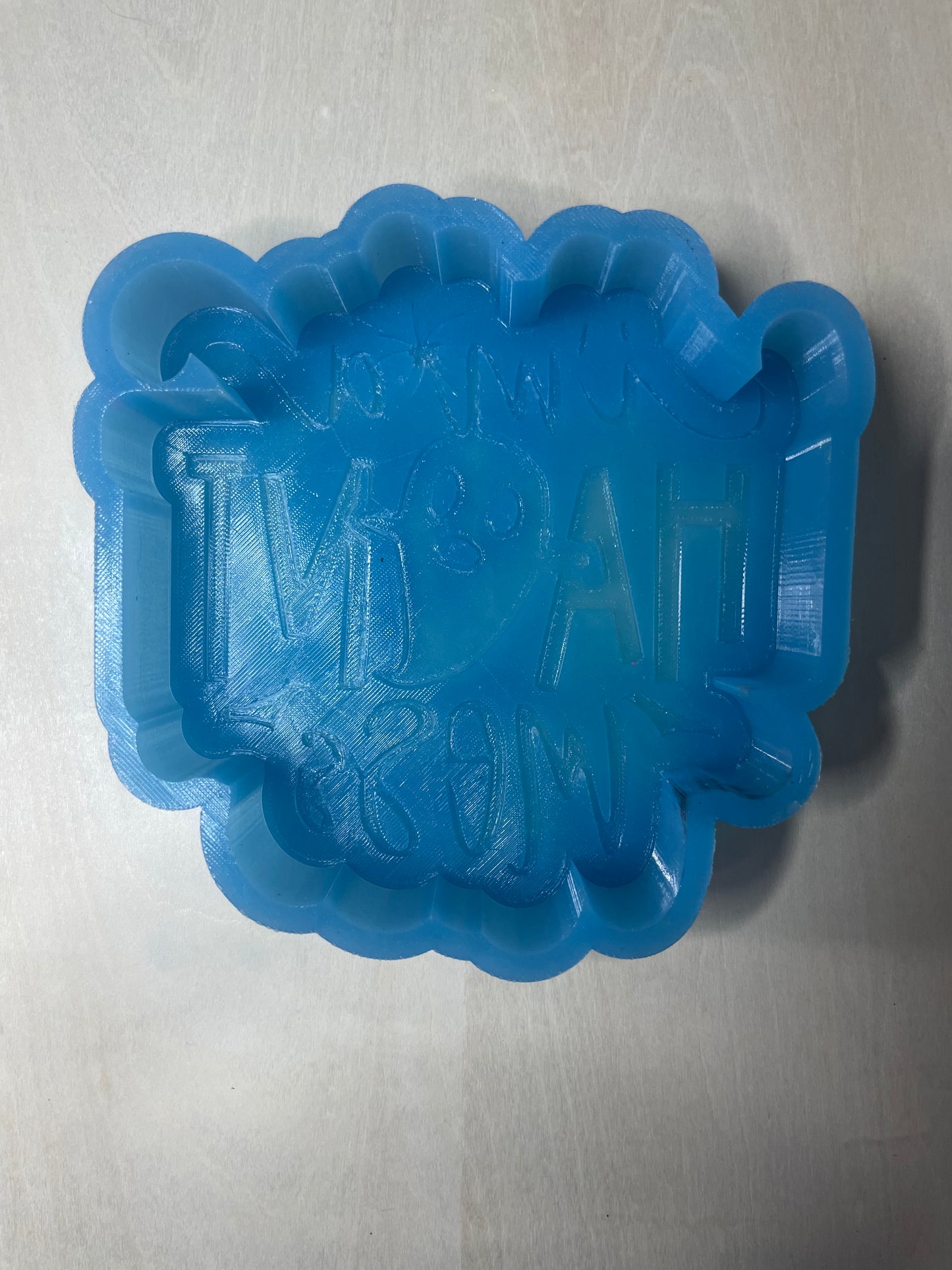 Haunt Mess Mold for Freshies, Soap, Ice, Resin, etc.